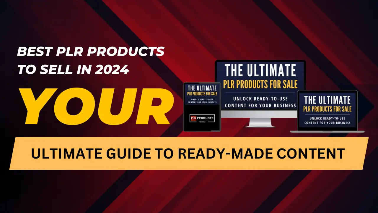 Best PLR Products to Sell in 2024. Top Niches and Content Ideas for Profits