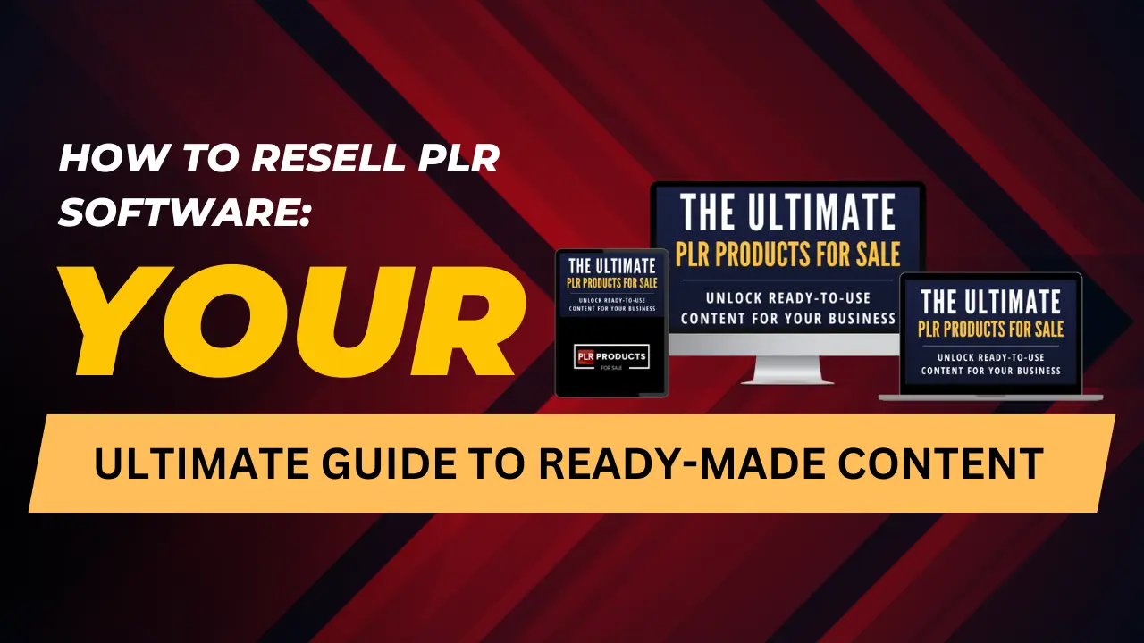 Guide on reselling PLR software with tips for customization and maximizing profits