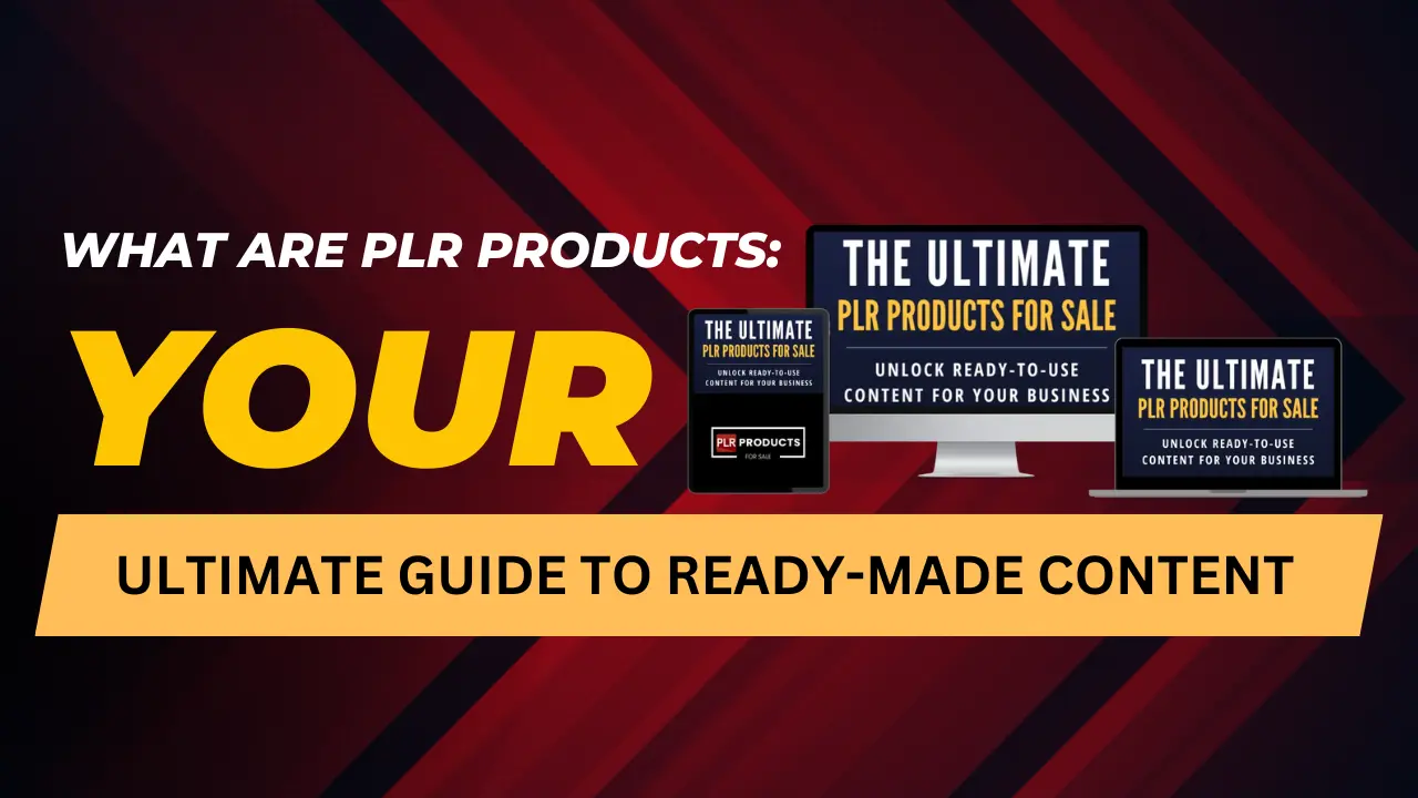 what are plr products